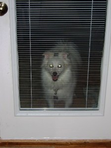 20071122_09 20071122_09