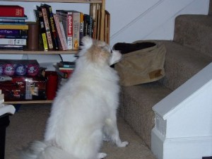 20071128_22 20071128_22