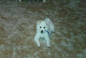 Were you looking for this chapstick?