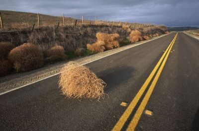 Not my photo but gives you an idea...