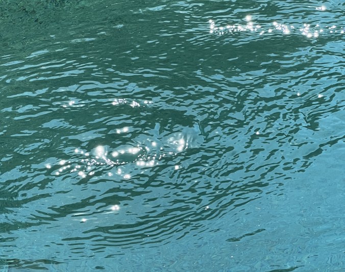 Yes, more is coming…